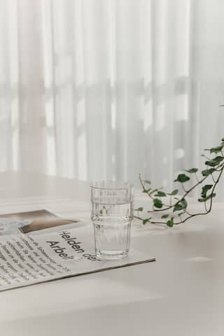 Elegant photo of a glass and magazine on a table with natural light and green vine.