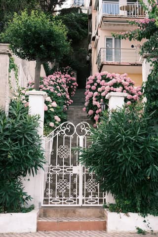 White gate leading to stairway flanked by lush pink hydrangeas creating a picturesque garden scene.
