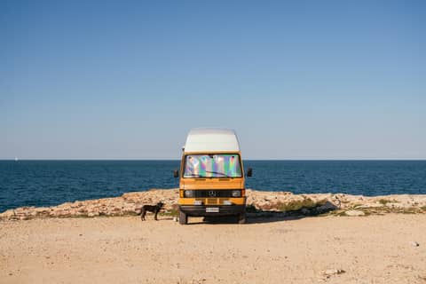 A van and a dog sit by the sea.
