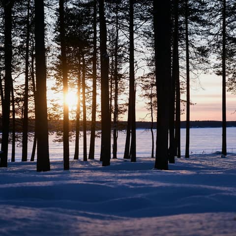 Free stock photo of calm nature, distant sun, finland
