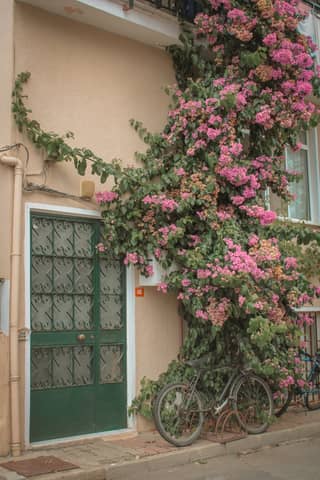 Charming outdoor facade with a bicycle and vibrant pink bougainvillea climbing the wall.