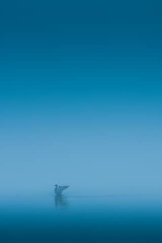 A lone boat in the middle of the ocean on a foggy day