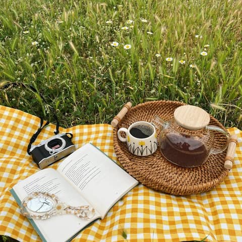 A charming spring picnic scene with a teapot, book, and flowers on a checkered cloth in a field.