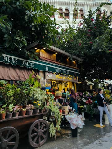 Bustling flower market in Algiers adorned with vibrant blooms and lush greenery.