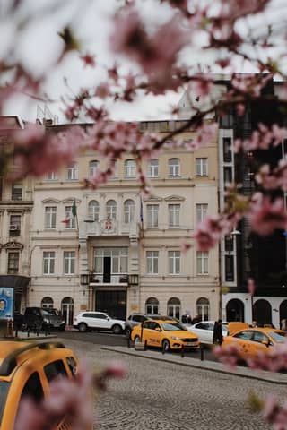 Blooming sakura trees frame a street with classic taxis in vibrant Istanbul, Türkiye.