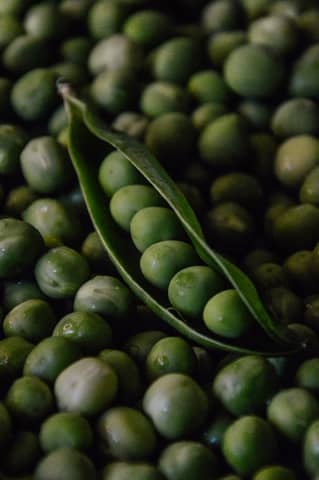Macro shot of fresh green peas in a pod surrounded by loose peas for a natural look.