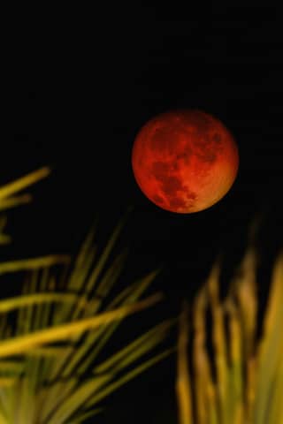A red moon shines in the dark night sky.