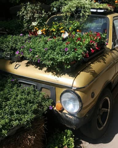 A vintage car adorned with lush plants and colorful flowers in a bright setting.