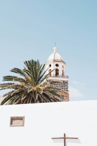 A church steeple with a palm tree in the foreground