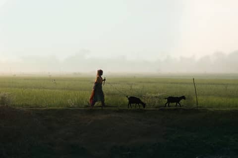 winter morning Bangladesh