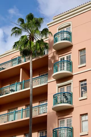 A sunny day view of a modern apartment building with a palm tree.