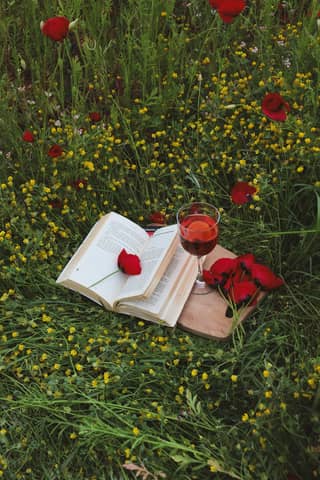 An open book with a wine glass and red poppies on grass, creating a romantic meadow scene.