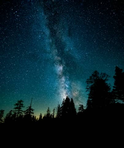 silhouette photo of trees during night time