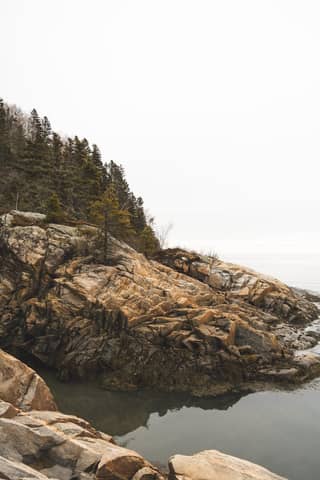 A tranquil rocky shoreline with calm water and lush trees under a cloudy sky.