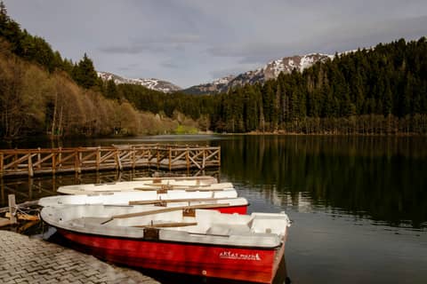 Tranquil lake in Artvin, Türkiye with boats and forested mountains in spring.
