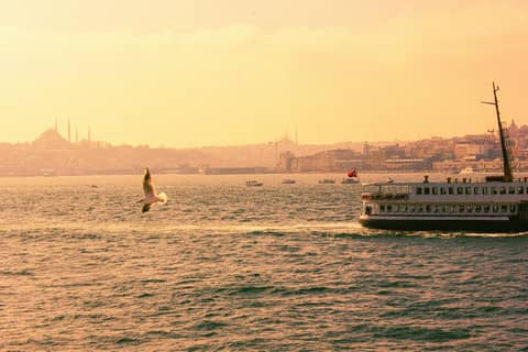 A ferry glides across the Bosphorus in Istanbul with a seagull soaring above, showcasing the skyline.