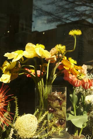 Bright and colorful flowers are displayed in a window.