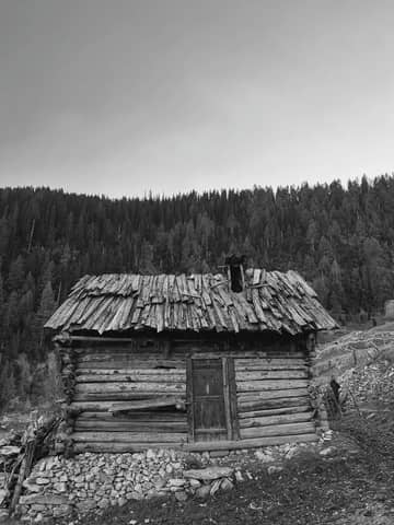 A rustic wooden hut against a forest backdrop, captured in monochrome.