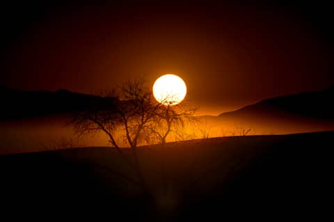 Setting sun over a silhouette tree and landscape.