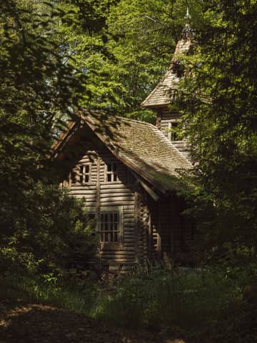 Discover a rustic wooden cabin nestled in the lush greenery of a Hungarian forest.