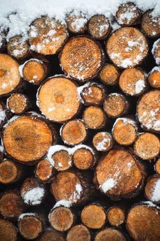 Close-up of stacked logs dusted with snow, showcasing a winter forest scene.