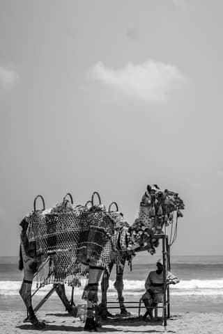 A monochrome image featuring a decorative camel and a person on Gokarna Beach, India.