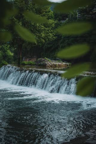 Tranquil small waterfall flowing through lush green forest