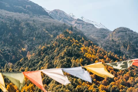Prayer Flags in the Himalayas