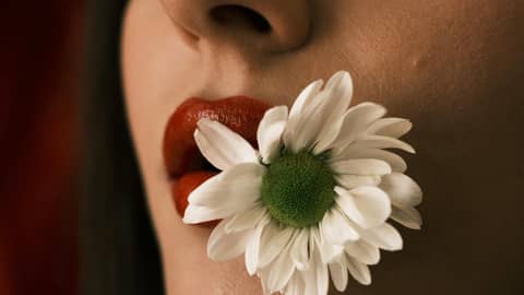 Artistic close-up image of red lips holding a white daisy flower.
