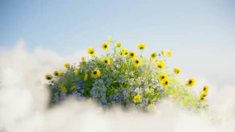 A field of sunflowers in the middle of a cloud filled sky
