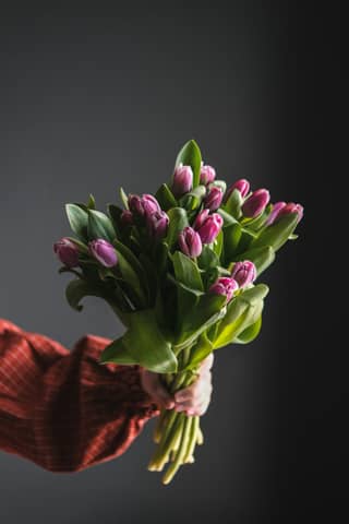 A hand holds a bouquet of pink tulips.