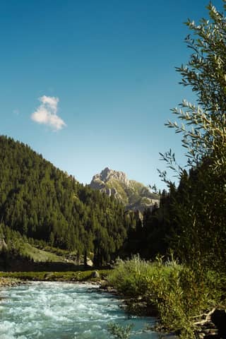 Kashmir