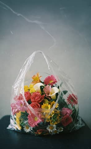 A colorful floral arrangement in a plastic bag against a neutral backdrop. Perfect for creative projects.