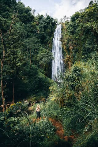 Woman explores a lush green forest with a waterfall.