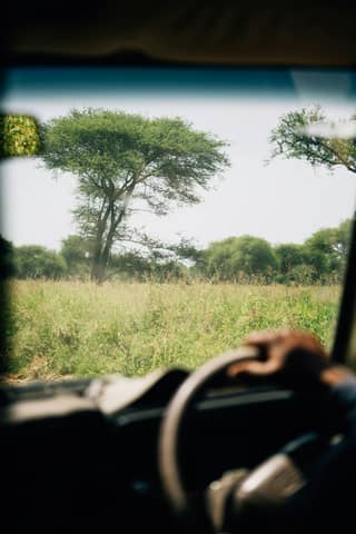 A safari vehicle driving through a grassy field.