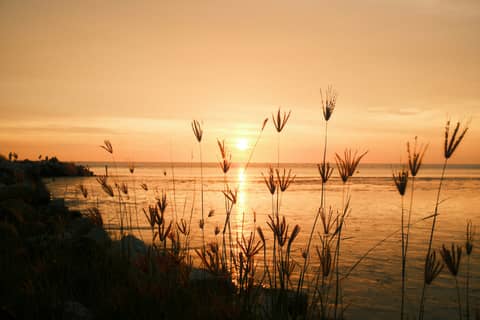 Sunset over the water with grasses in the foreground.