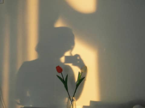silhouette of a woman in the afternoon light