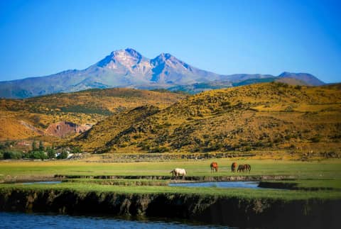 Beautiful horses grazing by a water body with a striking mountain backdrop, under clear blue skies.