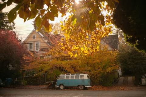 Vintage Volkswagen bus on a picturesque Seattle street with autumn foliage.