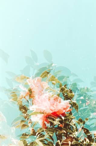 pink and green floral wreath