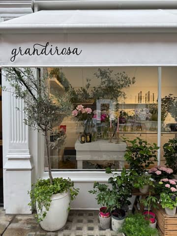 Charming flower shop exterior with plants and floral arrangement display.