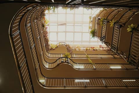 Upward view of a modern atrium with plants and natural light.