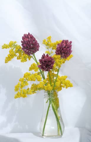 Elegant glass vase with vibrant yellow and purple flowers on a soft white background.