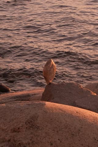 Free stock photo of atardecer, coast, nature