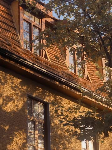 Elegant old building facade with sunlight filtering through autumn leaves, creating a warm, nostalgic atmosphere.